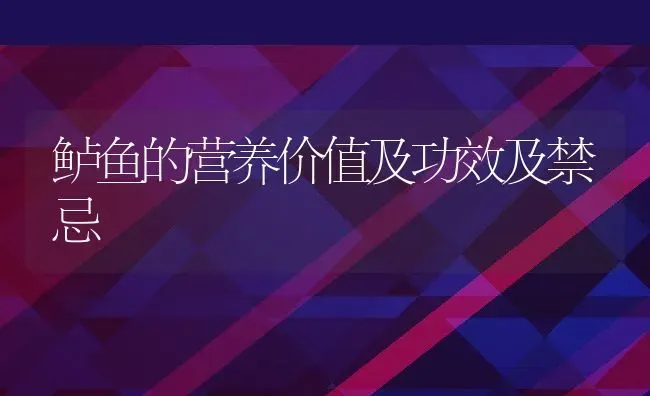 鲈鱼的营养价值及功效及禁忌 | 养殖资料投稿