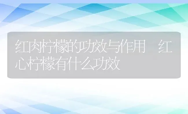 红肉柠檬的功效与作用 红心柠檬有什么功效 | 养殖资料投稿