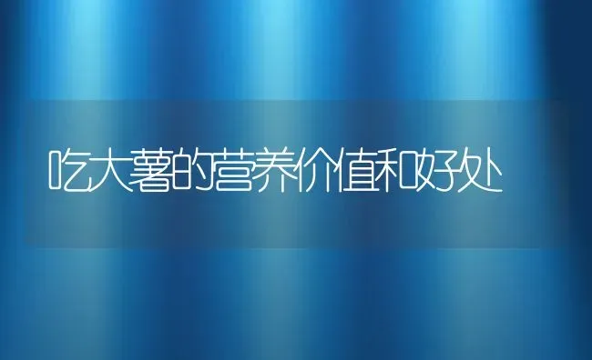 吃大薯的营养价值和好处 | 养殖资料投稿