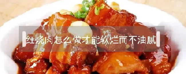 红烧肉怎么做才能软烂而不油腻