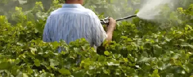 农药是指农业上用于防治病虫害及调节植物生长的附农药安全间隔期一览表