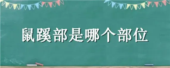 鼠蹊部是哪个部位