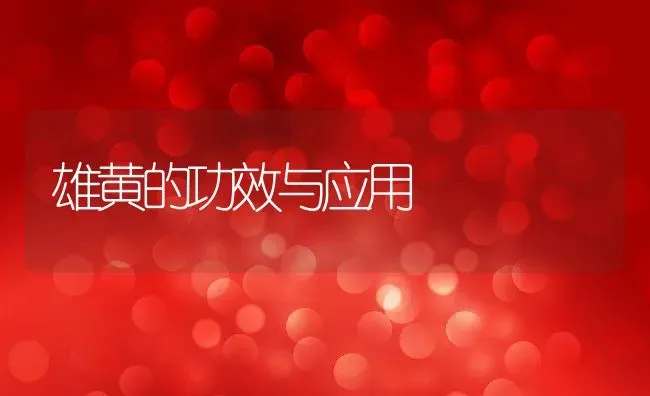 雄黄的功效与应用 | 养殖资料投稿