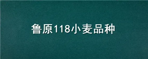 鲁原118小麦品种