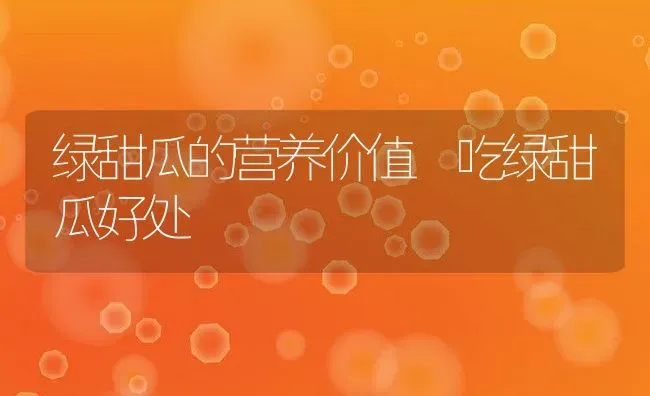 绿甜瓜的营养价值 吃绿甜瓜好处 | 养殖资料投稿