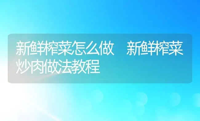 新鲜榨菜怎么做 新鲜榨菜炒肉做法教程 | 养殖资料投稿