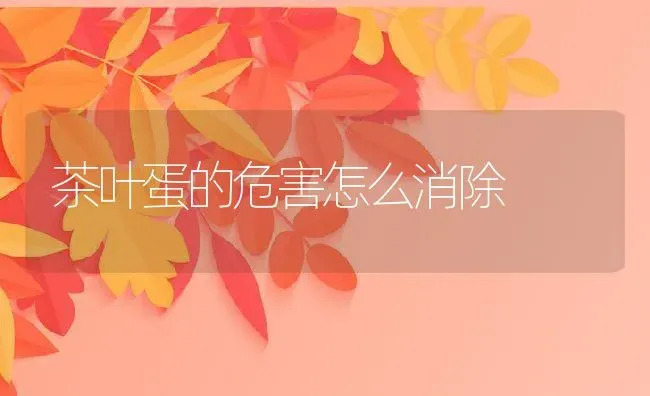茶叶蛋的危害怎么消除 | 养殖资料投稿