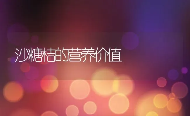 沙糖桔的营养价值 | 养殖资料投稿