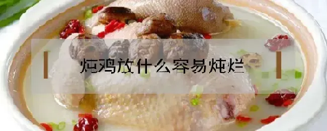 炖鸡放什么容易炖烂