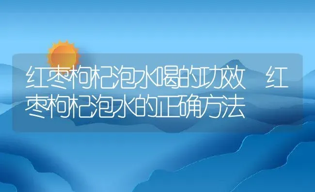 红枣枸杞泡水喝的功效 红枣枸杞泡水的正确方法 | 养殖资料投稿