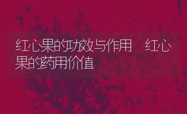 红心果的功效与作用 红心果的药用价值 | 养殖资料投稿