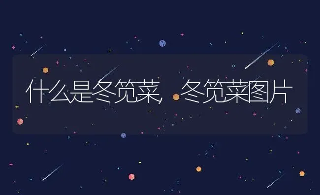 鸡蛋壳有什么用处 鸡蛋壳的用途有哪些 | 养殖资料投稿