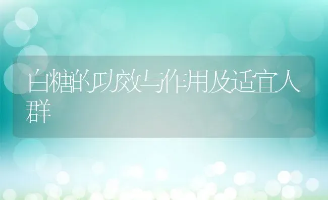 白糖的功效与作用及适宜人群 | 养殖资料投稿