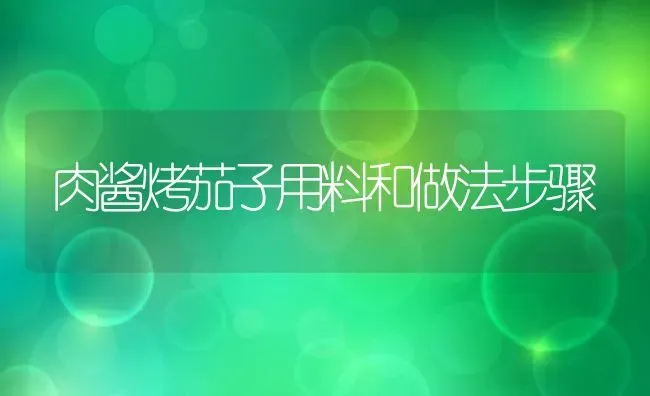 肉酱烤茄子用料和做法步骤 | 养殖资料投稿