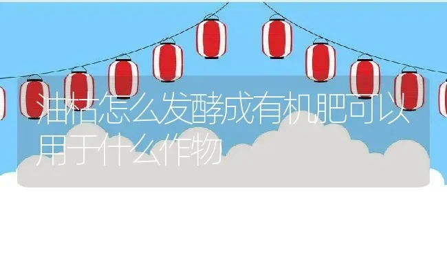 油枯怎么发酵成有机肥可以用于什么作物 | 养殖资讯