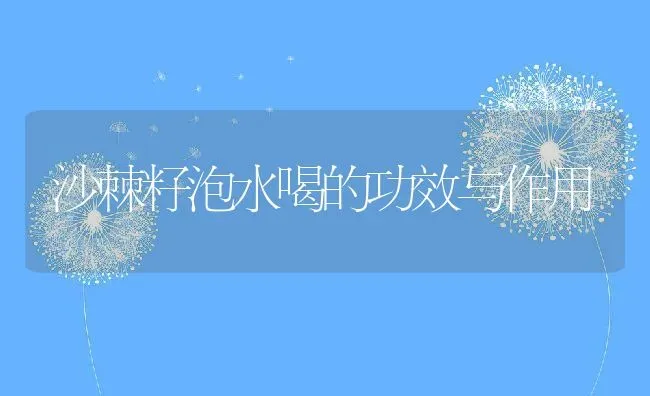 沙棘籽泡水喝的功效与作用 | 养殖资料投稿
