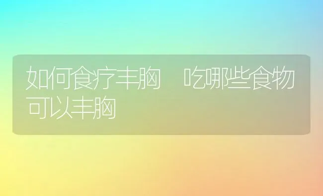 如何食疗丰胸 吃哪些食物可以丰胸 | 养殖资料投稿