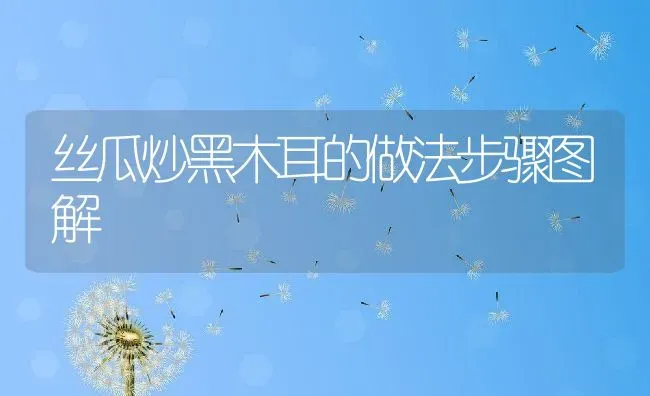 丝瓜炒黑木耳的做法步骤图解 | 养殖资料投稿