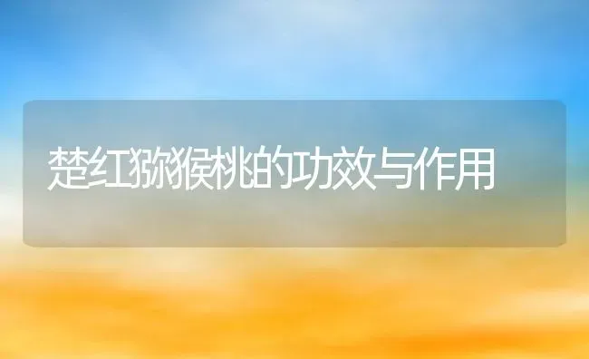 楚红猕猴桃的功效与作用 | 养殖资料投稿