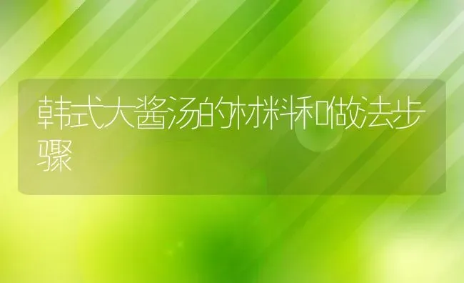 韩式大酱汤的材料和做法步骤 | 养殖资料投稿