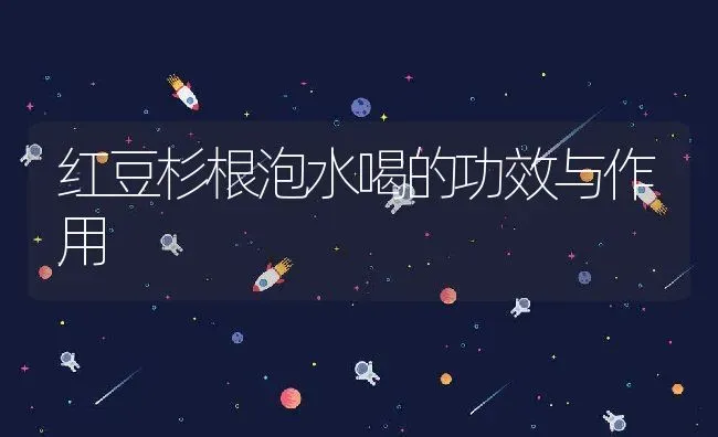 红豆杉根泡水喝的功效与作用 | 养殖资料投稿