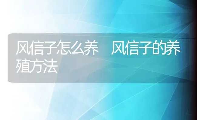 风信子怎么养 风信子的养殖方法 | 养殖资料投稿