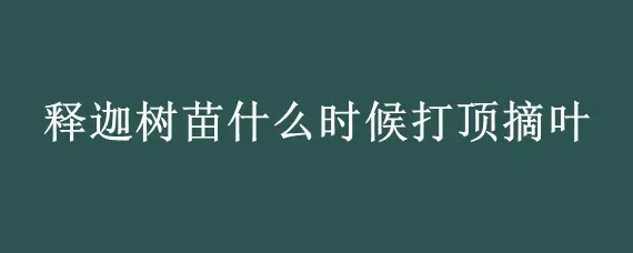 释迦树苗什么时候打顶摘叶