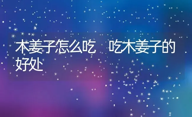 木姜子怎么吃 吃木姜子的好处 | 养殖资料投稿