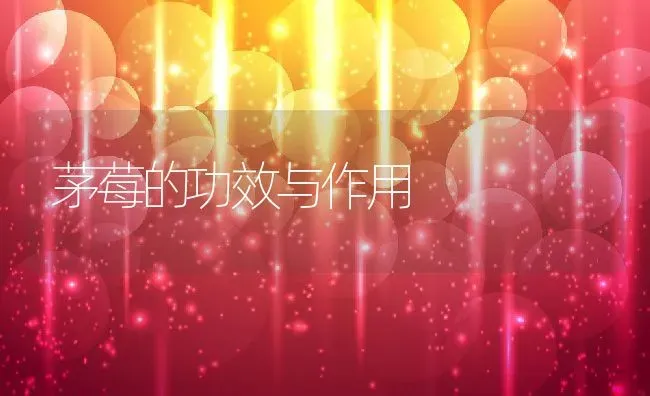 茅莓的功效与作用 | 养殖资料投稿