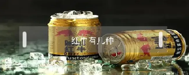 红牛有几种