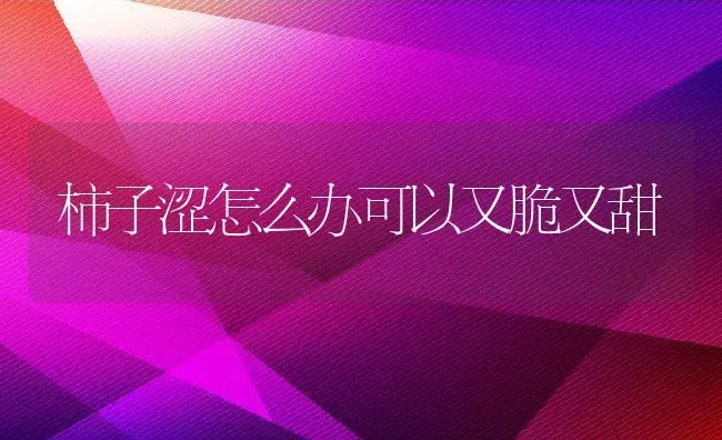 柿子涩怎么办可以又脆又甜 | 养殖资料投稿