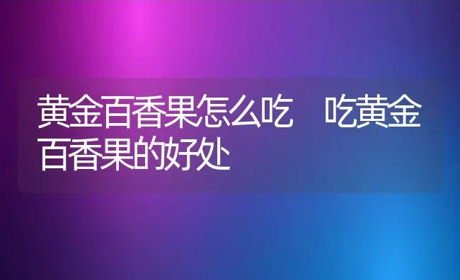 黄金百香果怎么吃 吃黄金百香果的好处 | 养殖资料投稿