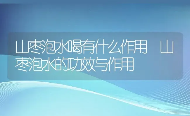 山枣泡水喝有什么作用 山枣泡水的功效与作用 | 养殖资料投稿