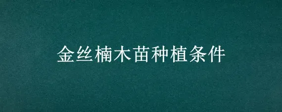 金丝楠木苗种植条件