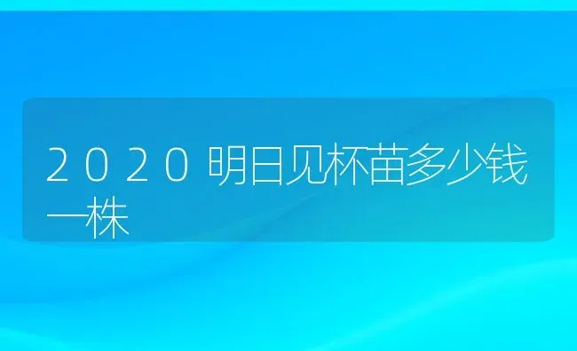 2020明日见杯苗多少钱一株 | 养殖资讯