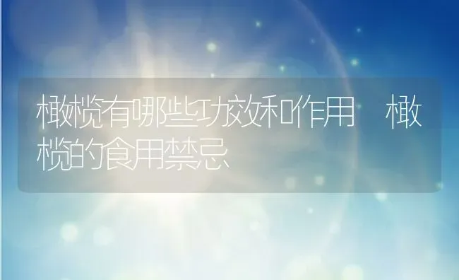 橄榄有哪些功效和作用 橄榄的食用禁忌 | 养殖资料投稿