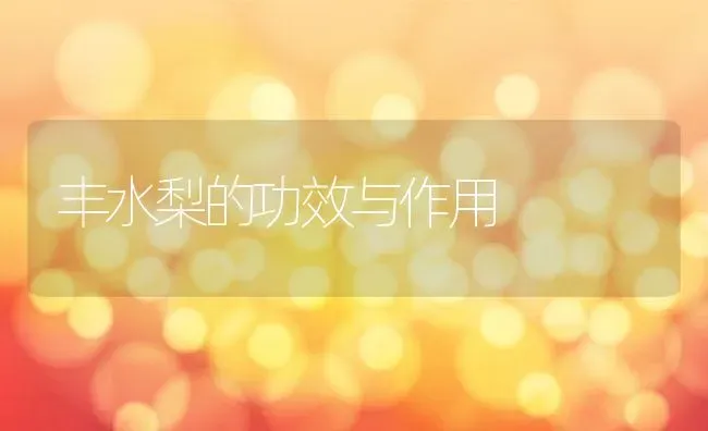 丰水梨的功效与作用 | 养殖资料投稿