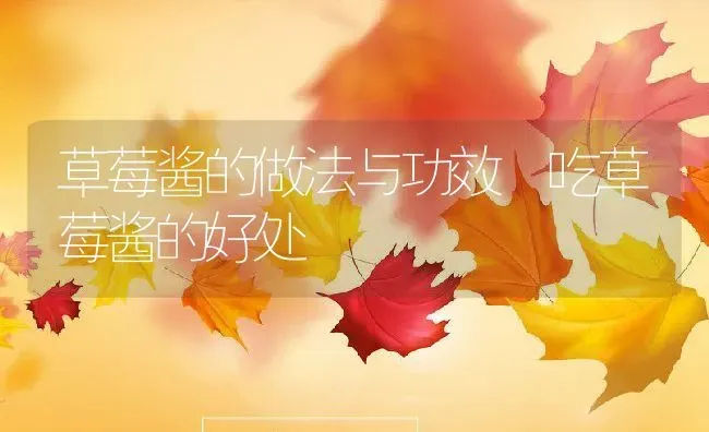 草莓酱的做法与功效 吃草莓酱的好处 | 养殖资料投稿