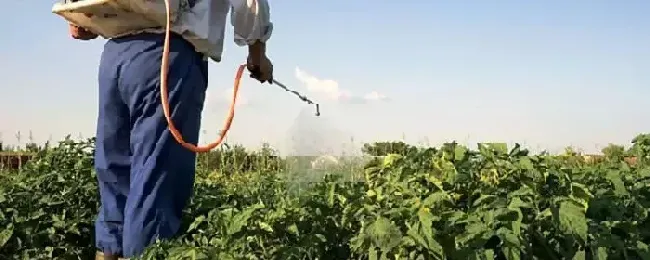 多抗霉素防治哪些病害杀细菌还是真菌