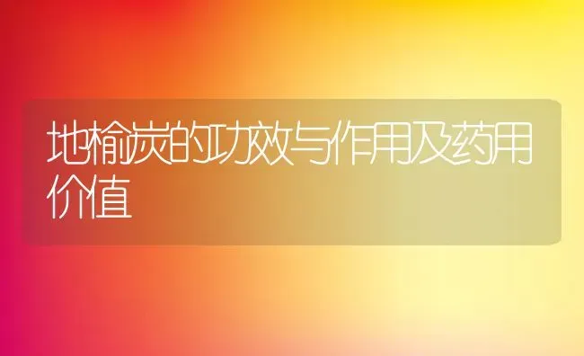 地榆炭的功效与作用及药用价值 | 养殖资料投稿