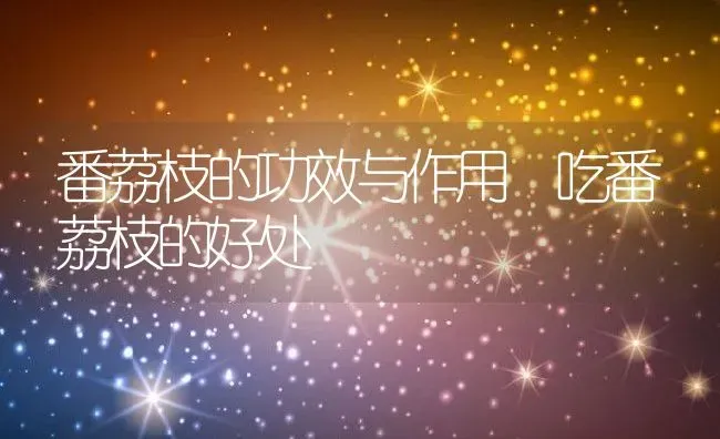 番荔枝的功效与作用 吃番荔枝的好处 | 养殖资料投稿