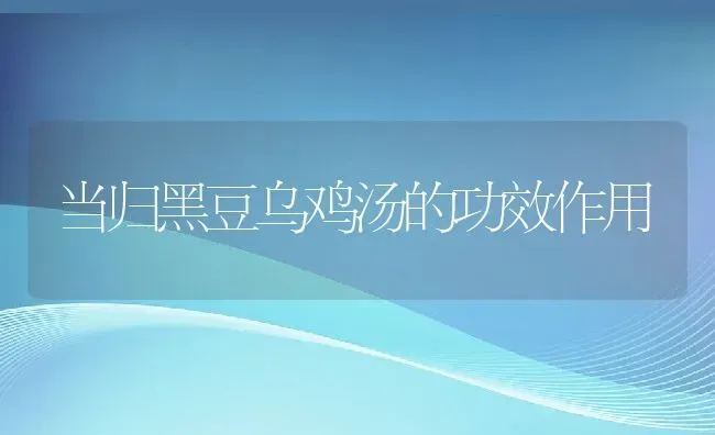 当归黑豆乌鸡汤的功效作用 | 养殖资料投稿