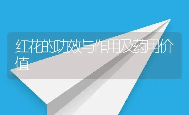 红花的功效与作用及药用价值 | 养殖资料投稿
