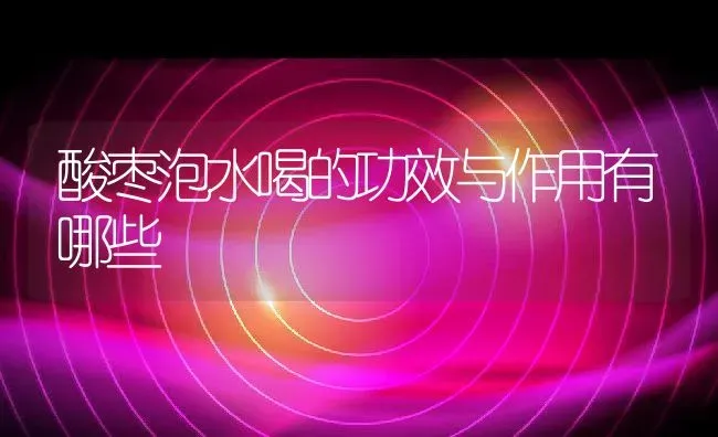 酸枣泡水喝的功效与作用有哪些 | 养殖资料投稿