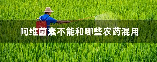 阿维菌素不能和哪些农药混用