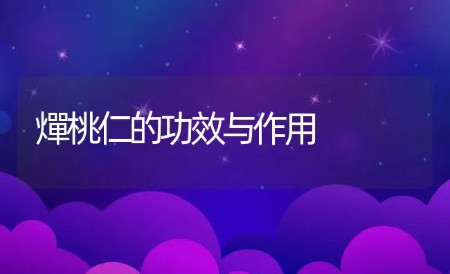 燀桃仁的功效与作用 | 养殖资料投稿