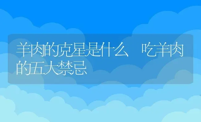 羊肉的克星是什么 吃羊肉的五大禁忌 | 养殖资料投稿