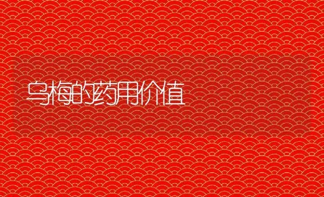 乌梅的药用价值 | 养殖资料投稿