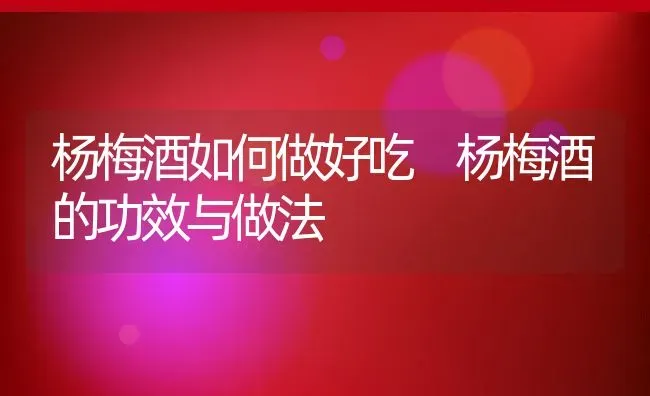 杨梅酒如何做好吃 杨梅酒的功效与做法 | 养殖资料投稿