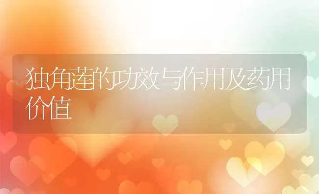 独角莲的功效与作用及药用价值 | 养殖资料投稿